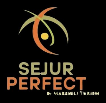 Logo Sejur Perfect